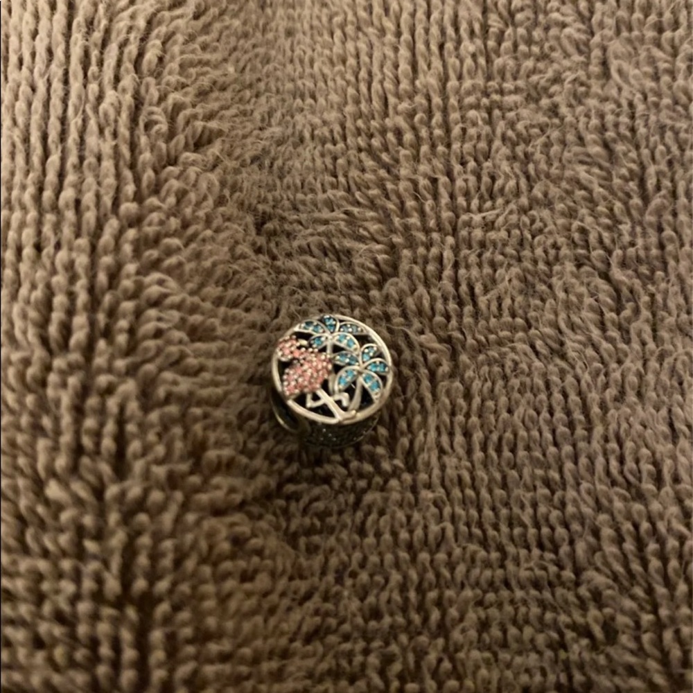 Pandora charm
